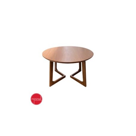 Mesa Dinel